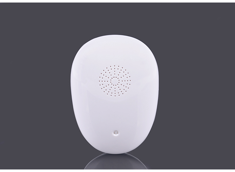 Ultrasonic Electronic Mosquito Repeller YQ-WS-06