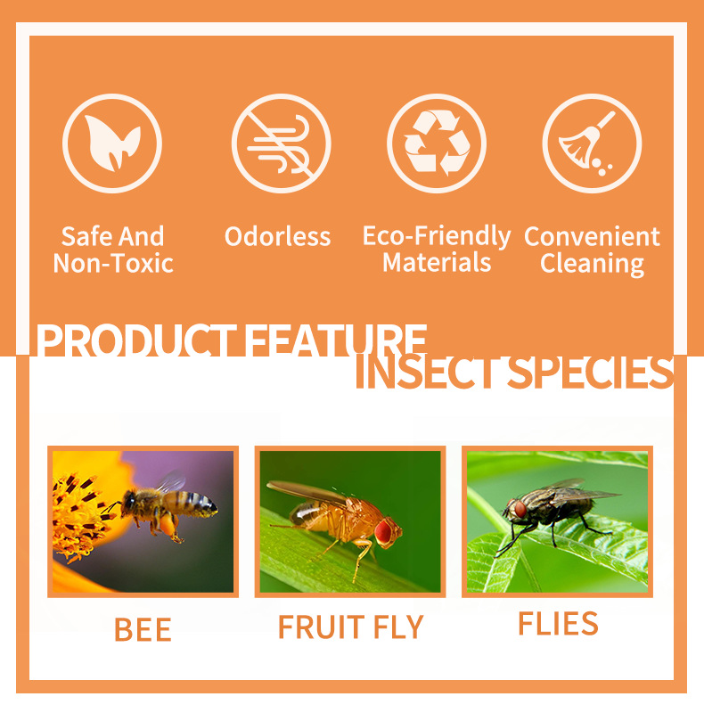Fruit Fly Trap