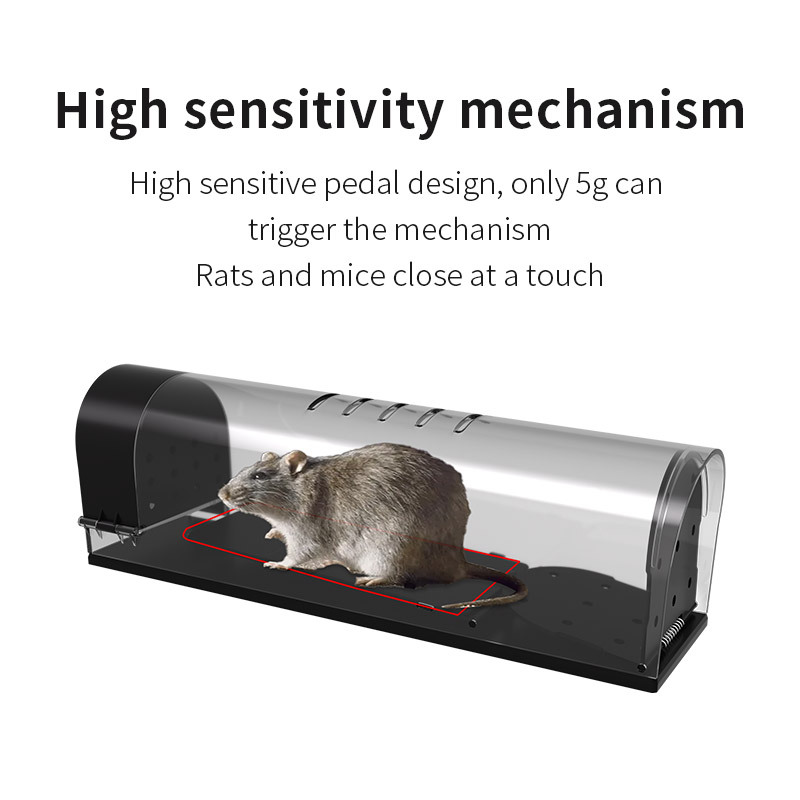 Mouse trap