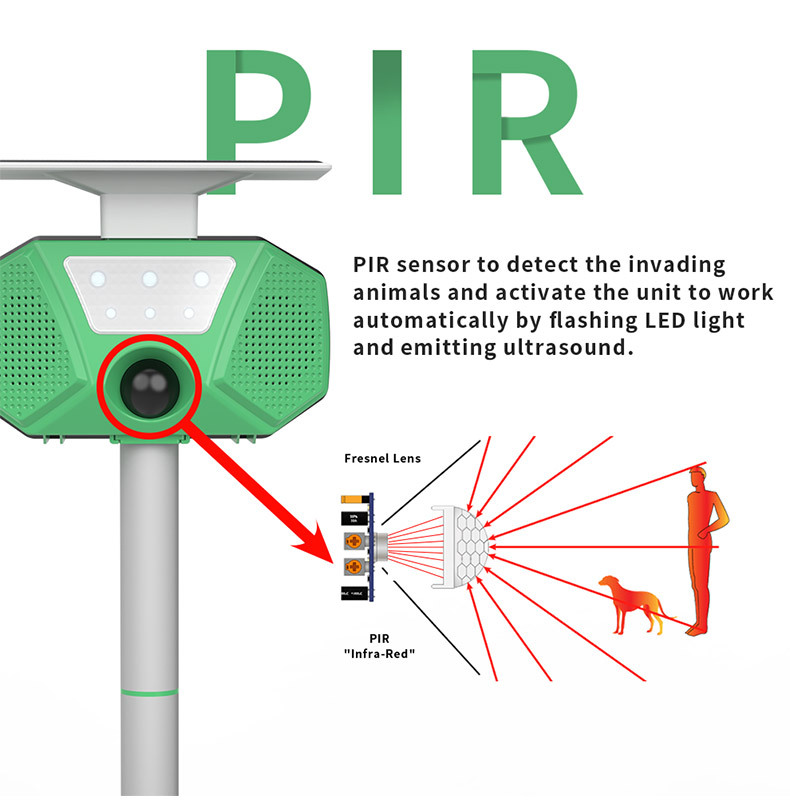 Solar-Powered Ultrasonic Animal Repeller