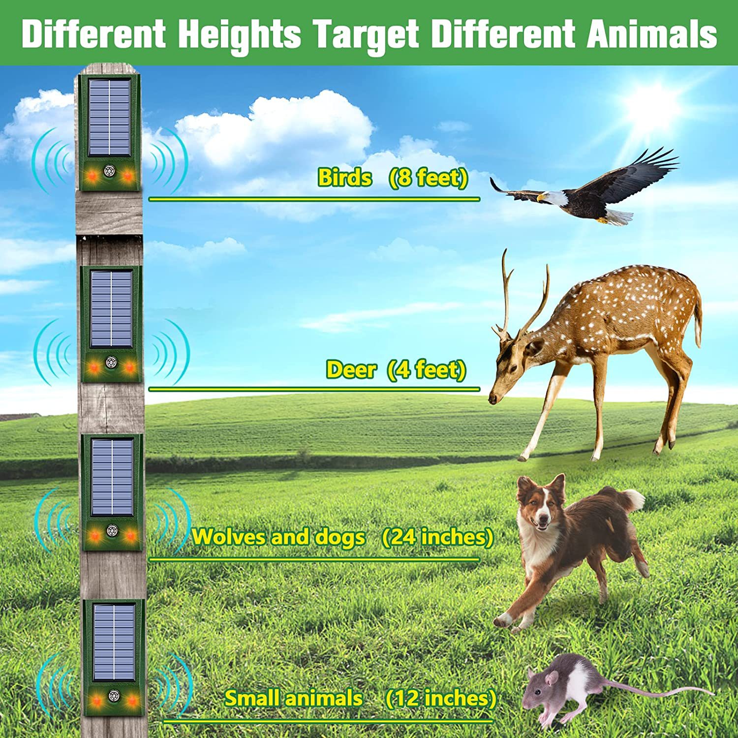 Solar-Powered Ultrasonic Animal Repeller