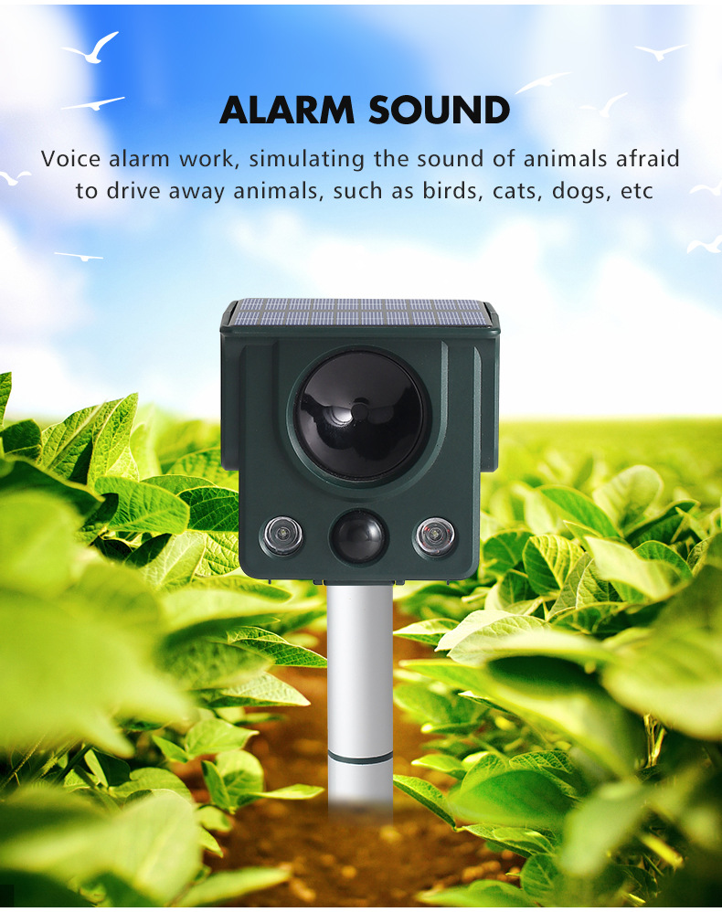 Solar-Powered Ultrasonic Animal Repeller