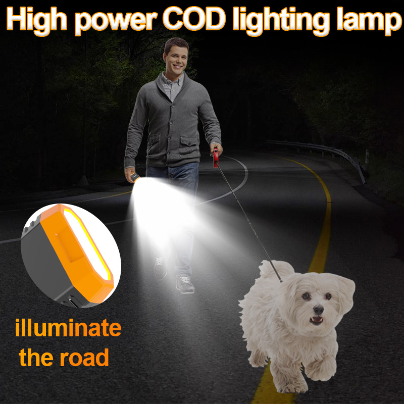 Ultrasonic Pet Trainer (Dual Speaker)