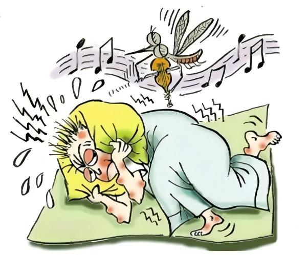 How to Prevent Mosquitoes