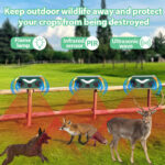 Solar-powered ultrasonic animal repeller YQ-DW-202
