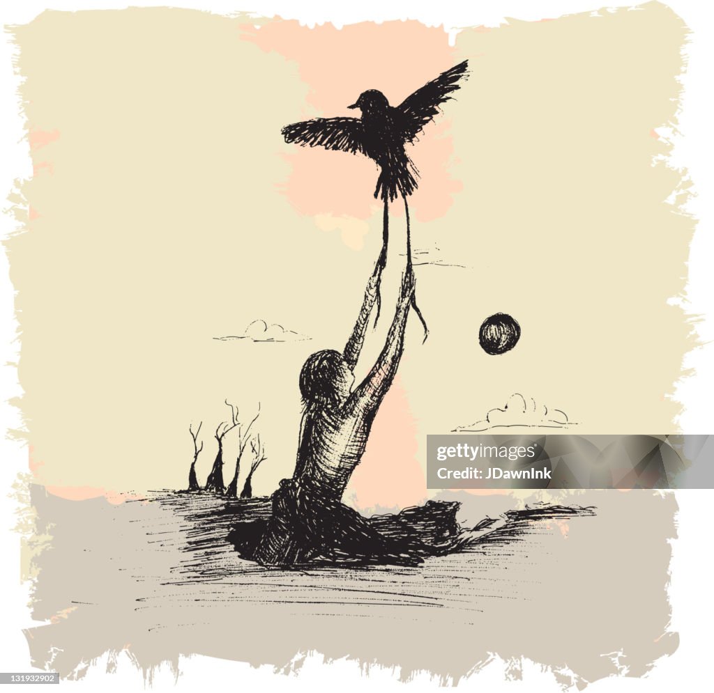 Illustrative image for Bird Chaser