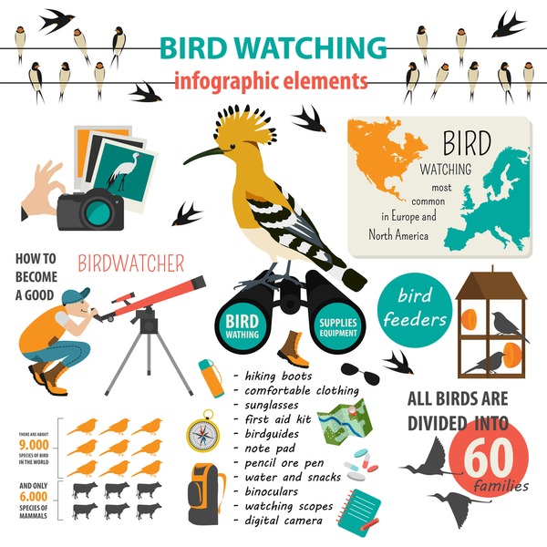 Illustrative image for Bird Repeller