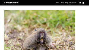 Careland Home - Sonic Mole Repellers