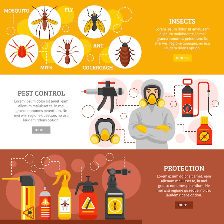 Illustrative image for Insect Trap