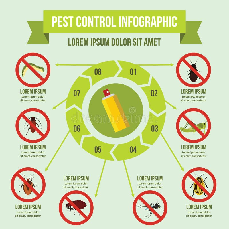 Illustrative image for Insect Trap