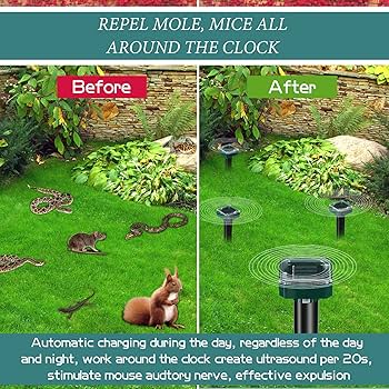 Illustrative image for Mole Repeller Solar