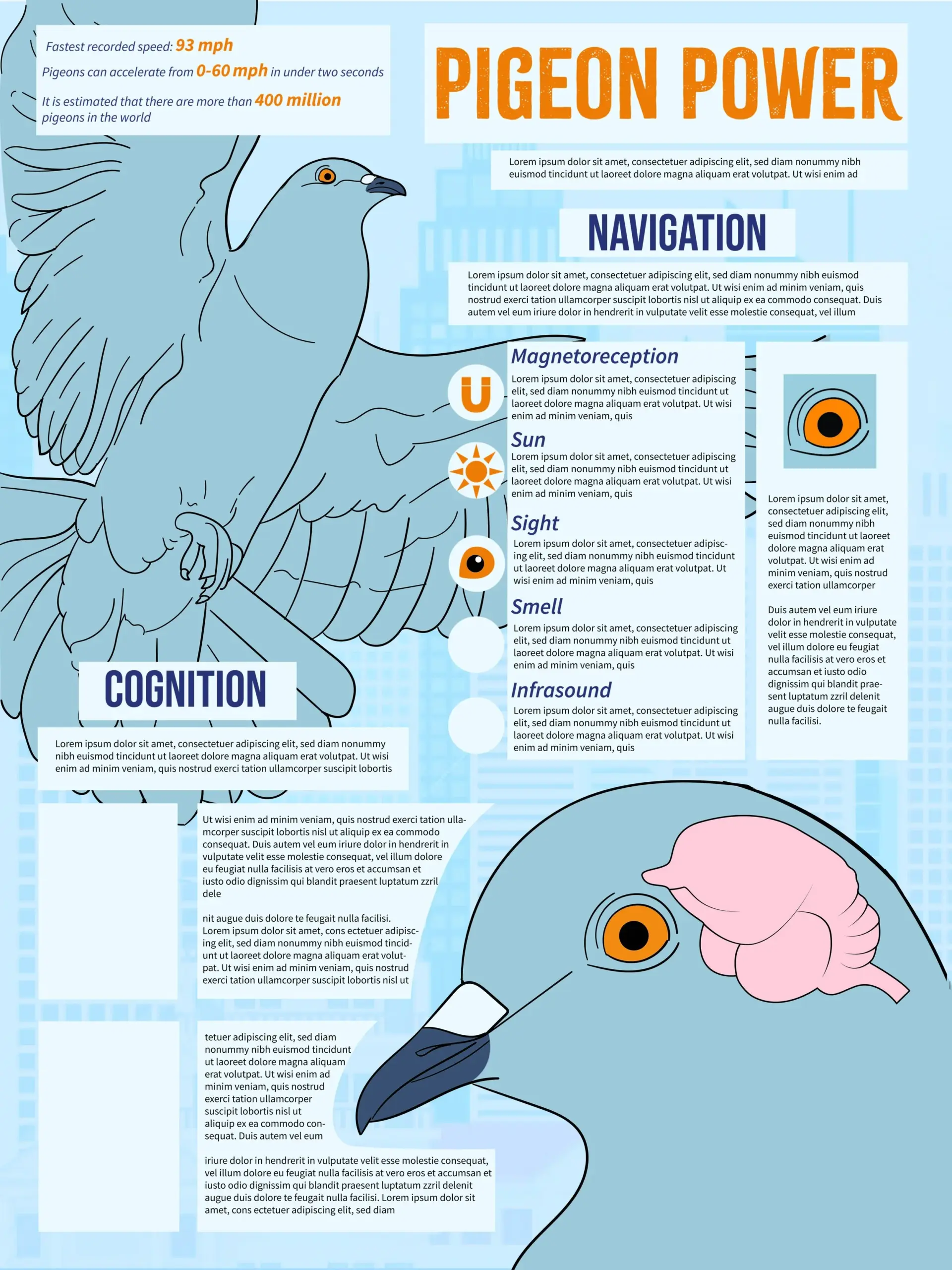 Illustrative image for Pigeons Repeller