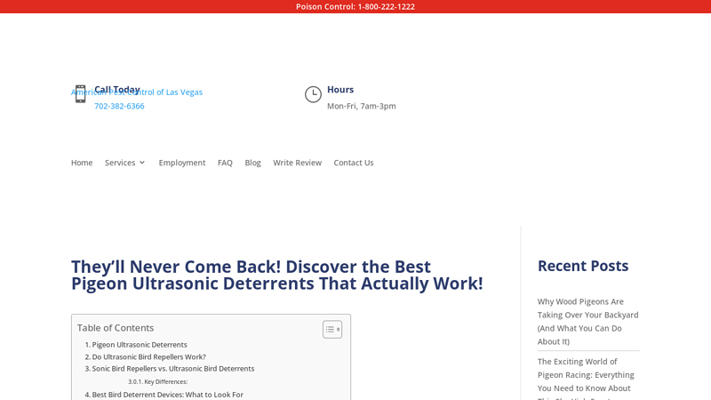 The Best Pigeon Ultrasonic Deterrents - American Pest Control