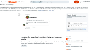 Reddit - Safe Animal Repellents for Potted Vegetables