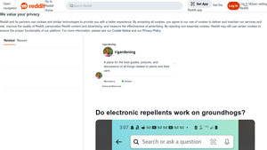 Reddit - Electronic Repellents for Groundhogs