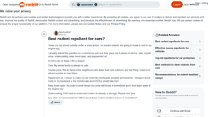 Rodent Repellents - Effective Methods for Cars