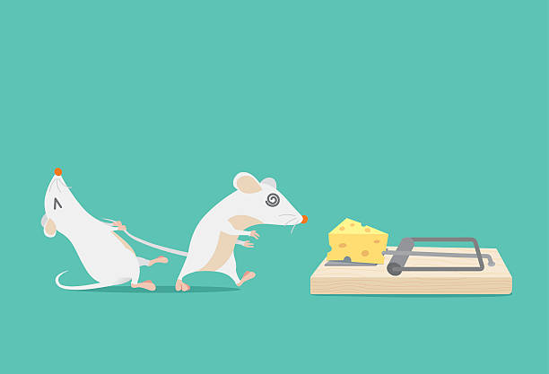 Illustrative image for Rodent Trap