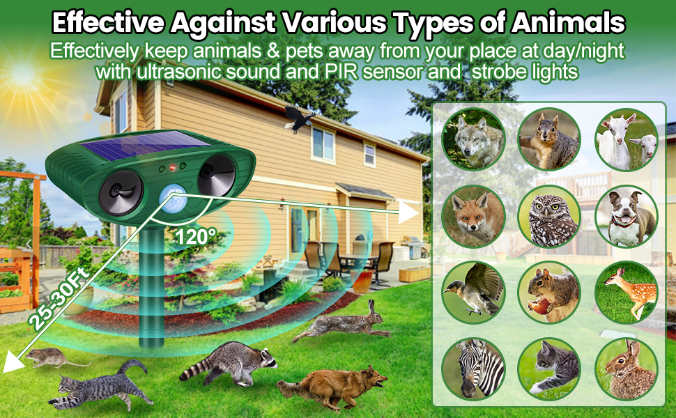 Illustrative image for Solar Animal Repeller