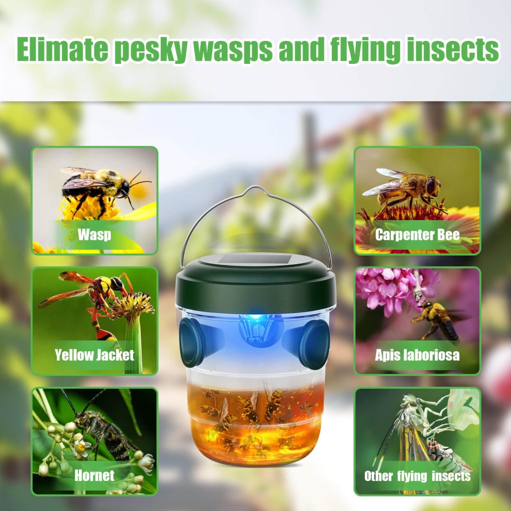 Illustrative image for Solar-powered Wasp Trap
