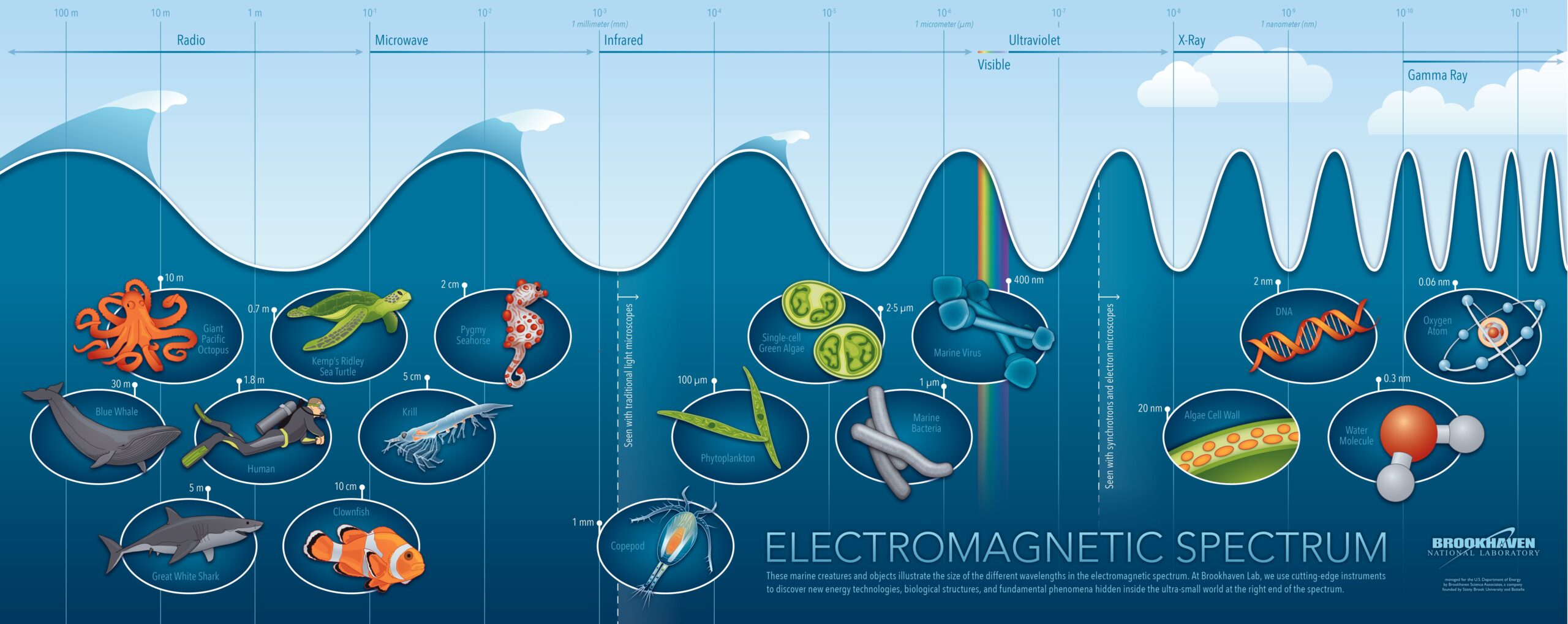 Illustrative image for Ultrasonic & Electromagnetic Repeller