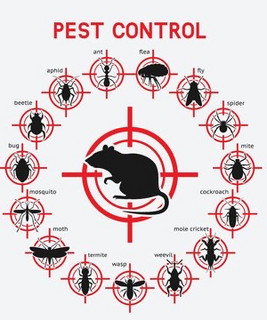 Illustrative image for Ultrasonic Pest Repeller