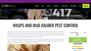 417 Pest Solutions - Wasps and Mud Dauber Control