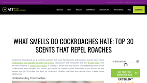 417 Pest Solutions - Top Cockroach Deterrents