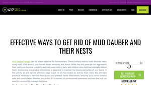 417 Pest Solutions - Mud Dauber Wasp Removal Methods