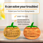 Fruit Fly Trap