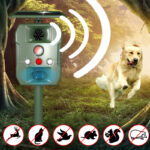 Solar-Powered Ultrasonic Animal Repeller