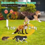 Solar-Powered Ultrasonic Animal Repeller