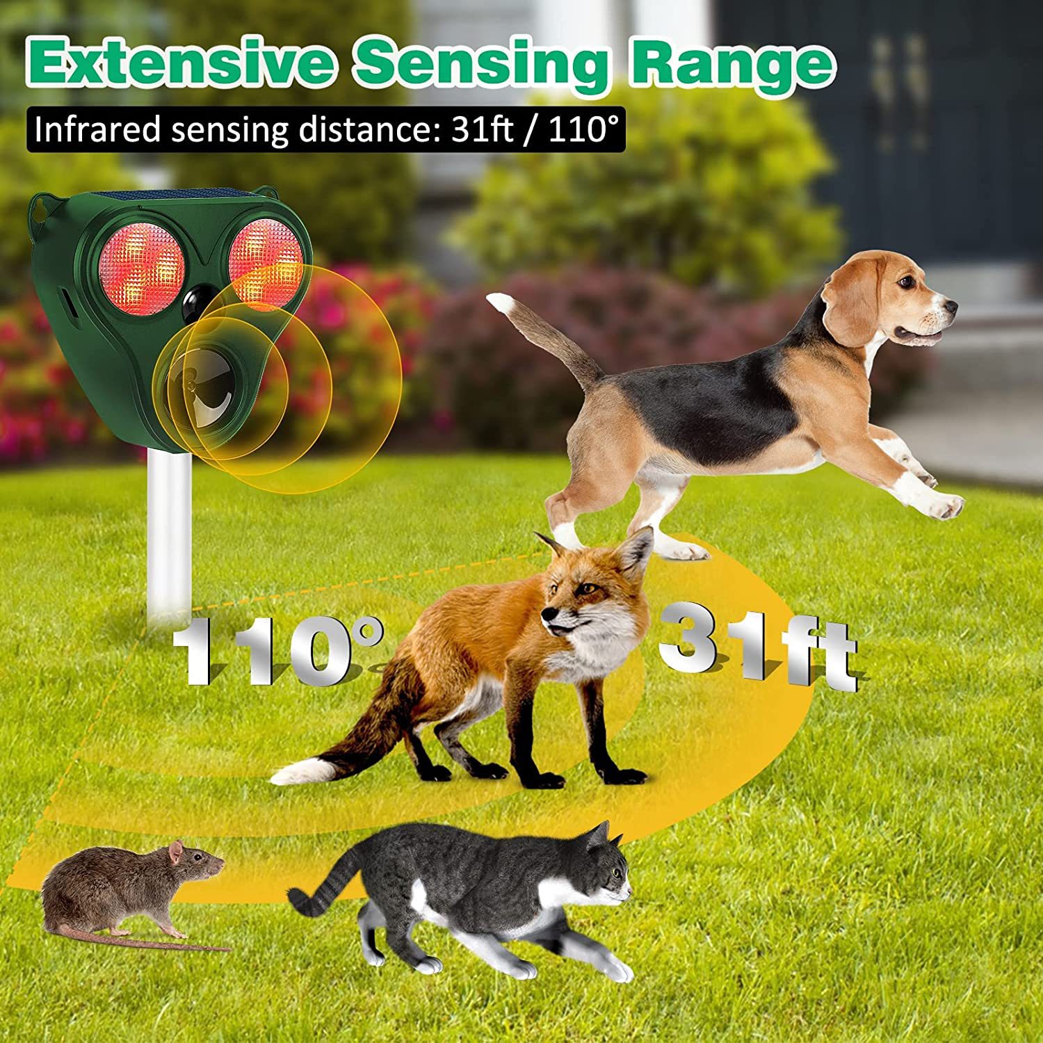 Solar-Powered Ultrasonic Animal Repeller
