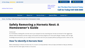 A-Action Pest Control - Hornet-Specific Insecticide Spray