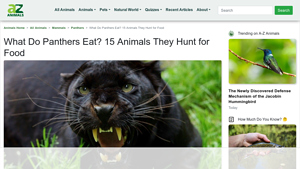 A-Z Animals - Panther Diet Insights