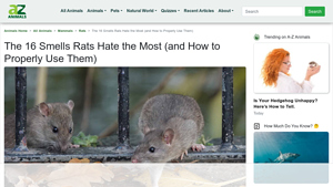 A-Z Animals - Pest Control Solutions