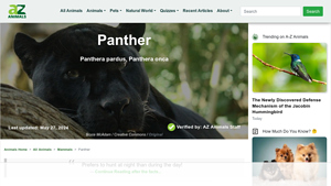 A-Z Animals - Panthera Species Overview