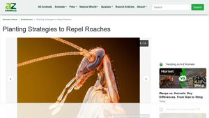 A-Z Animals - Natural Roach Repellents