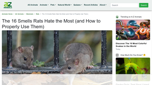 A-Z Animals - Rat Repellents
