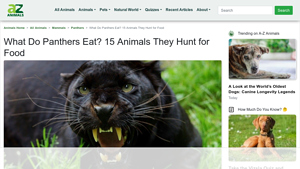 A-Z Animals - Panthers