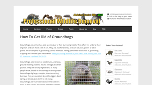 AAA Animal Control - Groundhog Removal