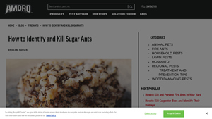 Amdro - Ant Killer Bait Stations and Stakes