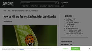Amdro - Quick Kill Insect Killer