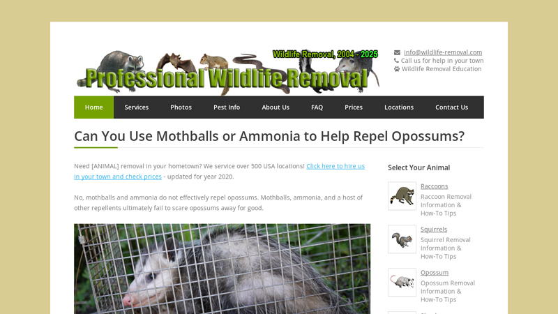 Can You Use Mothballs or Ammonia to Help Repel Opossums?