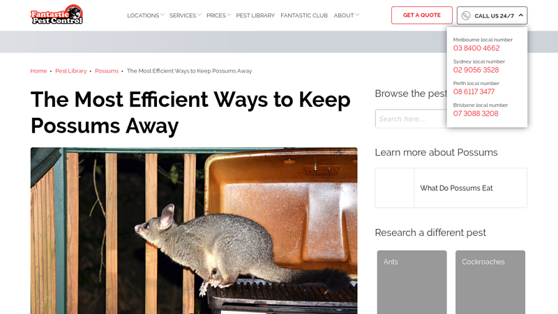 How to Scare Possums Away | Fantastic Pest Control Tips