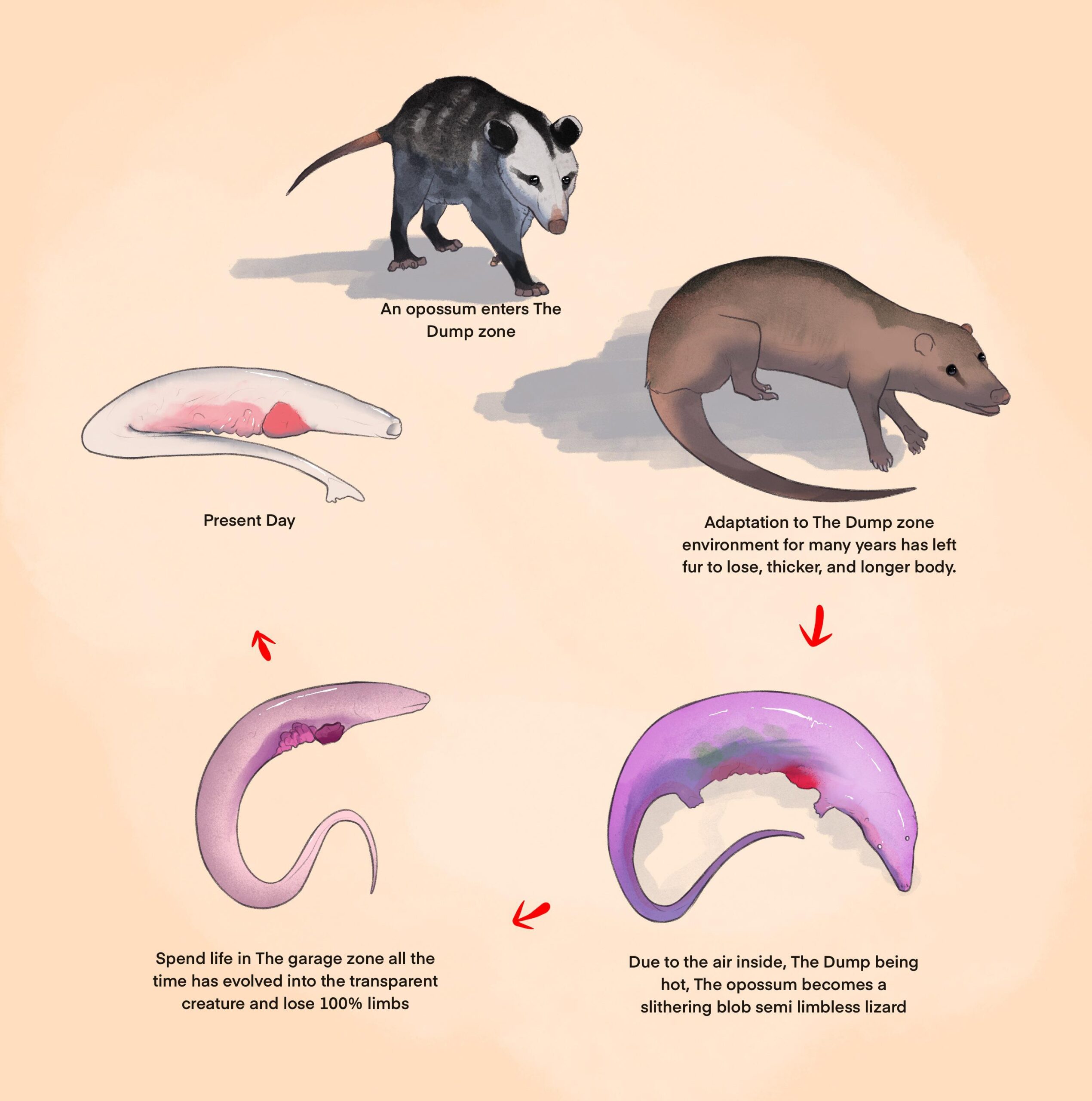 Illustrative image for ammonia for possums