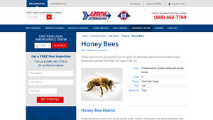 Arrow Exterminators - Honey Bee Control