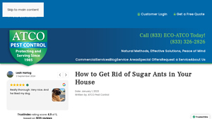 ATCO Pest Control - Natural Sugar Ant Solutions