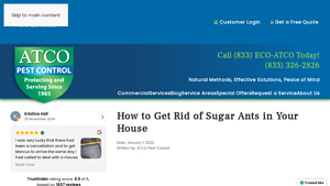 ATCO Pest Control - Sugar Ant Solutions