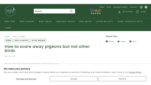 Awesome Wildlife Co - Scare Pigeons Effectively