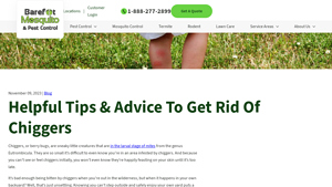 Barefoot Mosquito - Natural Chigger Treatment